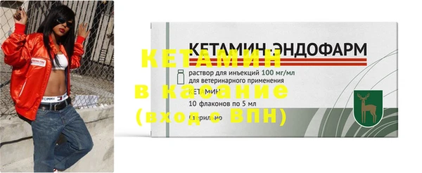 индика Бородино