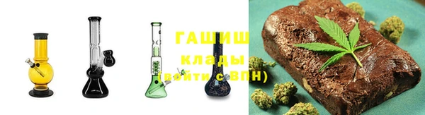 индика Бородино