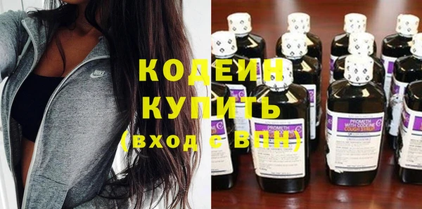 индика Бородино