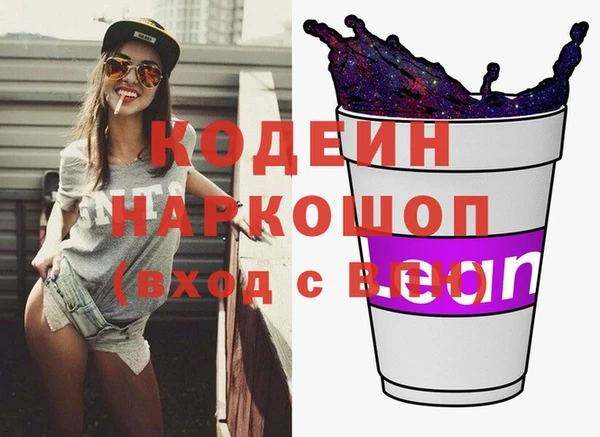 индика Бородино