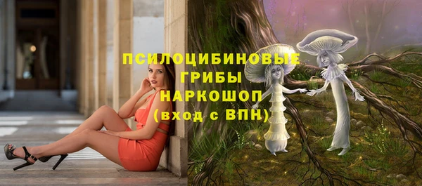 мет Богородицк