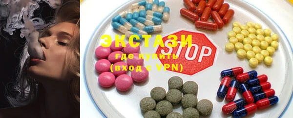 индика Бородино