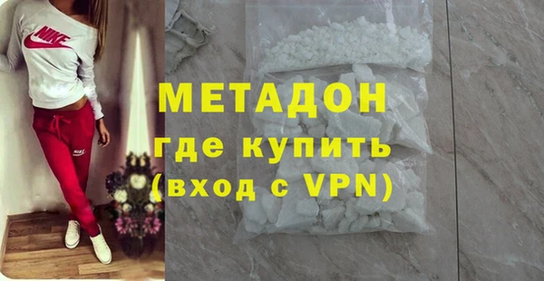 индика Бородино