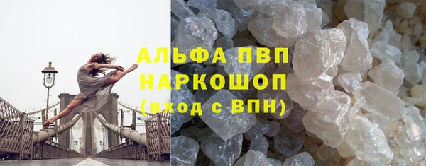 дживик Богданович