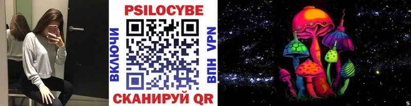 гидра как зайти  Горно-Алтайск  Галлюциногенные грибы Psilocybine cubensis 