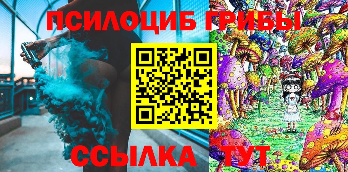 Галлюциногенные грибы мухоморы Горно-Алтайск